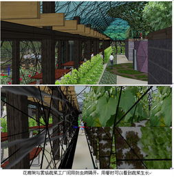 4736平方米方型生態(tài)餐廳及霧培蔬菜工廠設(shè)計 中國農(nóng)業(yè)硅谷引領(lǐng)農(nóng)業(yè)園藝服務(wù)新模式