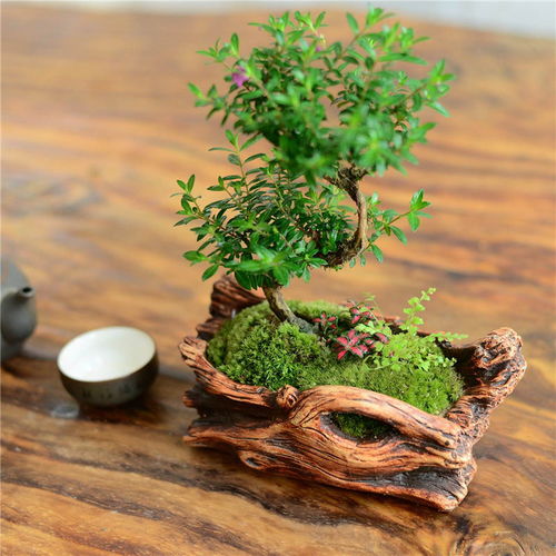 臨安區(qū)工廠綠化設(shè)計 杭州航景園藝，以匠心構(gòu)筑生態(tài)工業(yè)新典范